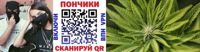 Конопля AK-47  Купить закладки  Шилка 